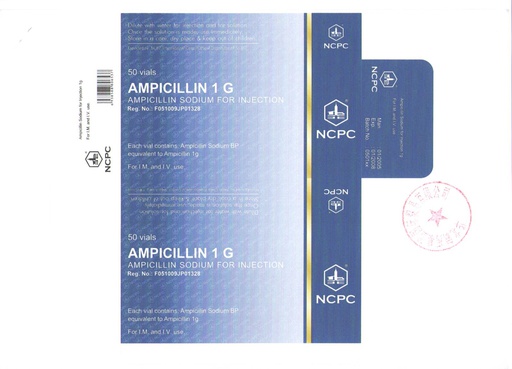 [12016] Ампициллин 1г №1 /NCPC/ фл